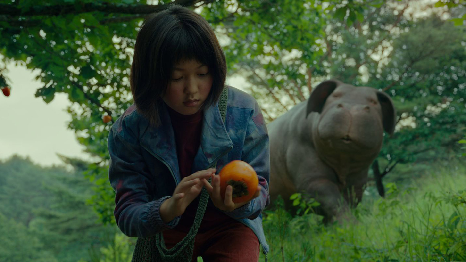 okja and the kid girl fruit at the forrest 