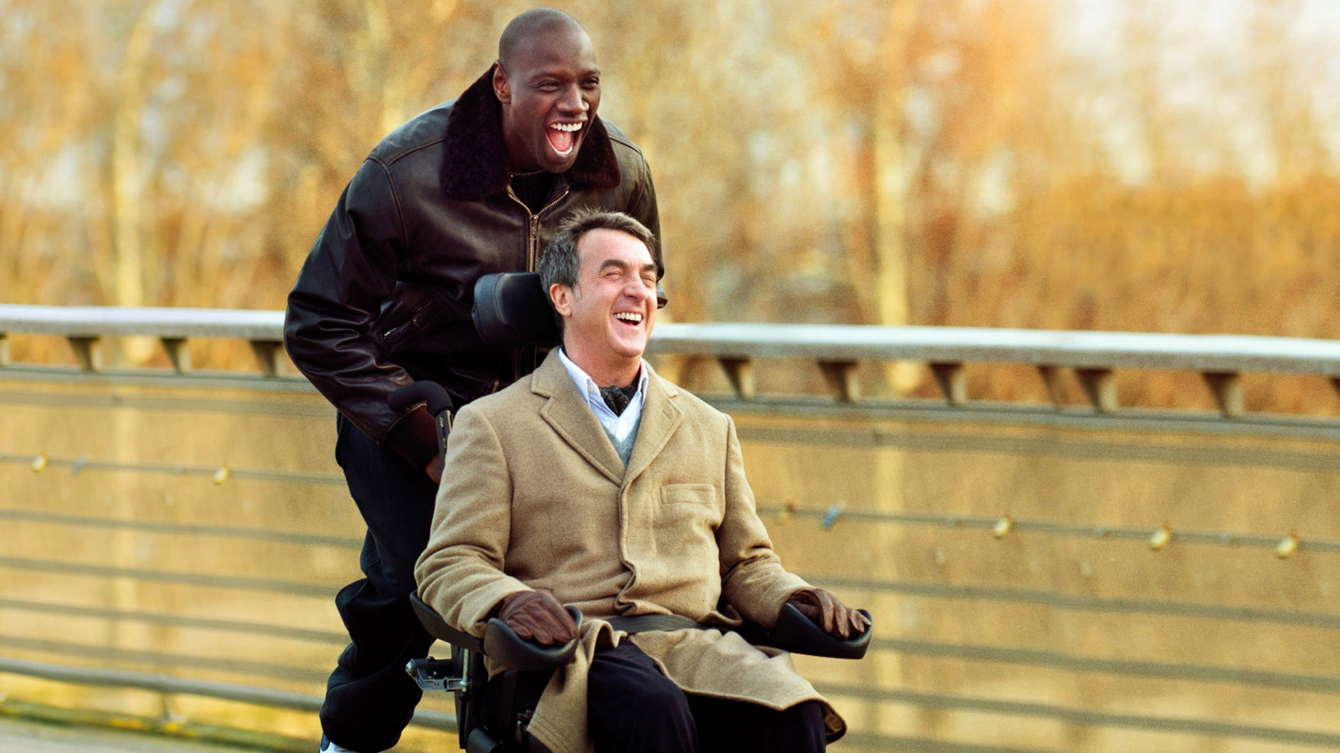 The Intouchables (2011)