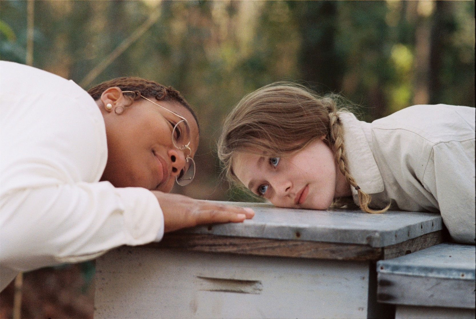 The Secret Life of Bees (2008)