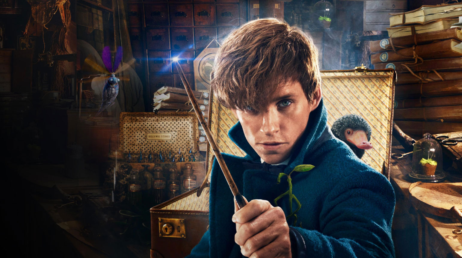 Fantastic Beasts and Where to Find Them (2016)